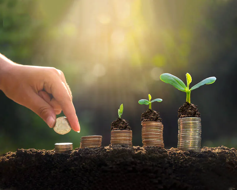 مدرسة الوسام وربا الوطن النموذجية